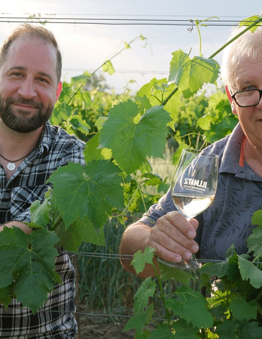 weinbau gangl über uns 2026